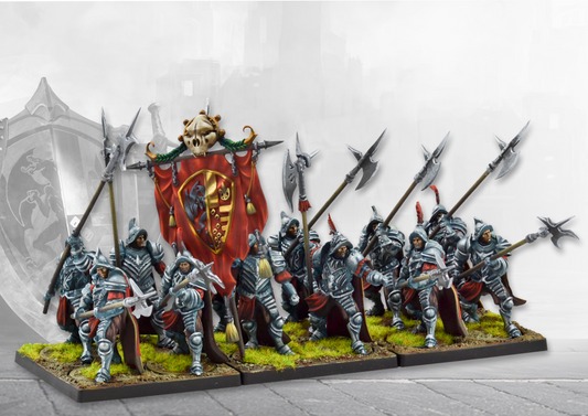 Conquest: Hundred Kingdoms: Household Guards