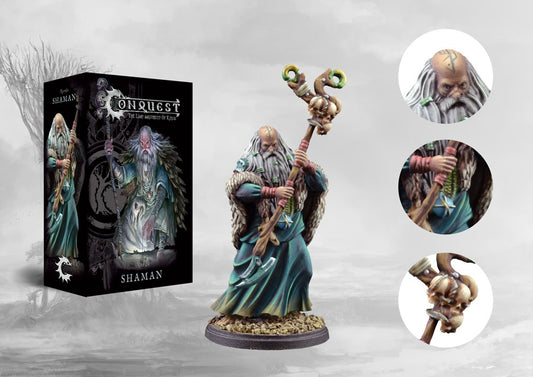 Conquest: Nords: Shaman
